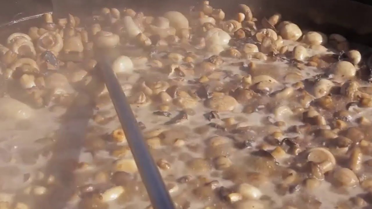 Fungus Among Us: Pros & cons of drinking &lsquo;shrooms