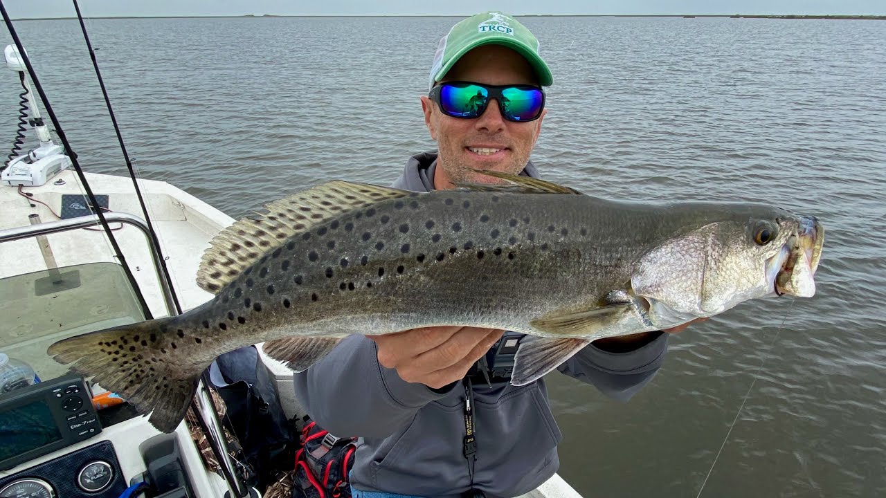 Big speckled trout and more close to Mississippi River!