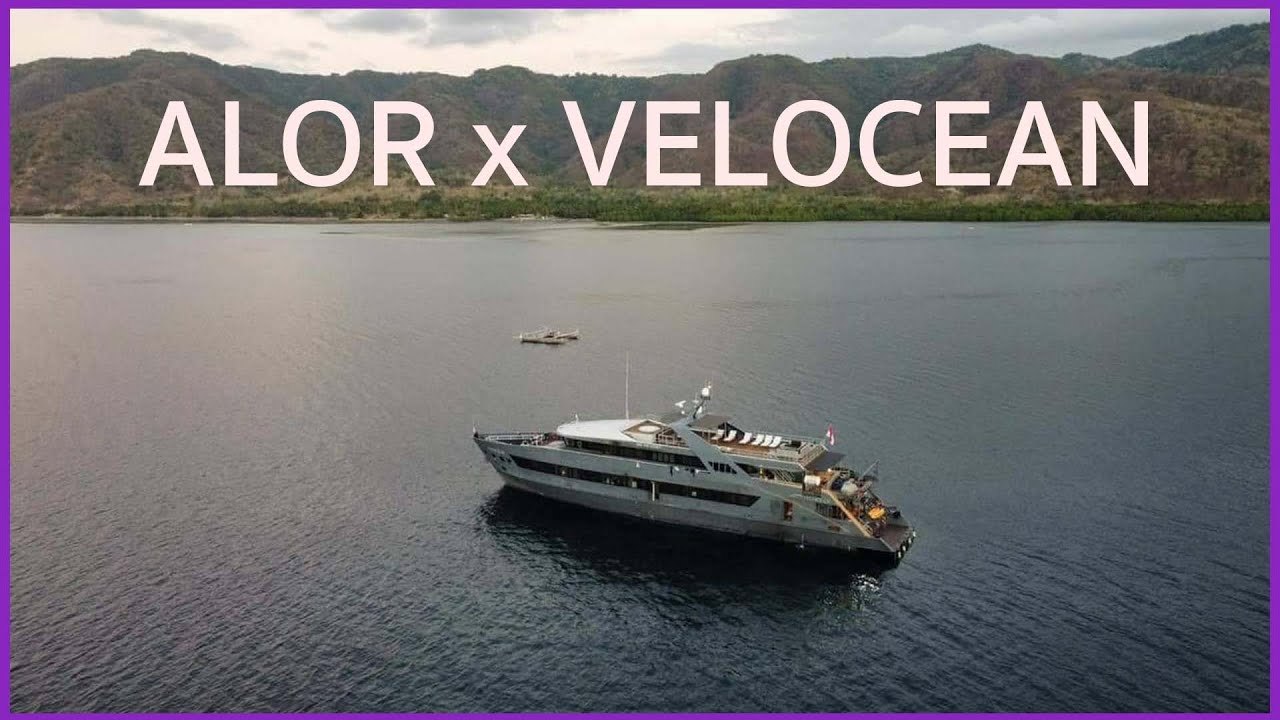 ดำน้ำที่ Alor กับเรือ Velocean เรือดำน้ำที่ดีที่สุดในโลกปี 2024  | The Master Scuba Club EP.31