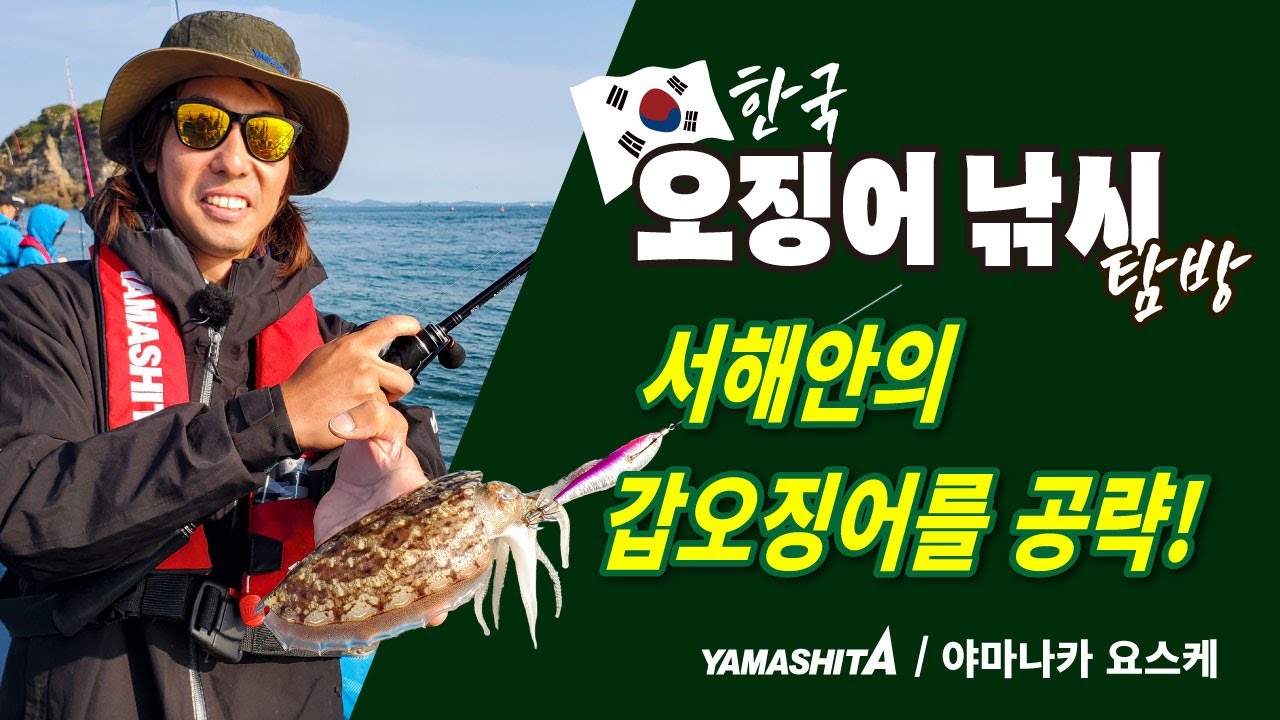 야마나카 요스케의 한국 오징어 낚시 탐방 ～ 서해・무창포의 갑오징어를 공략～