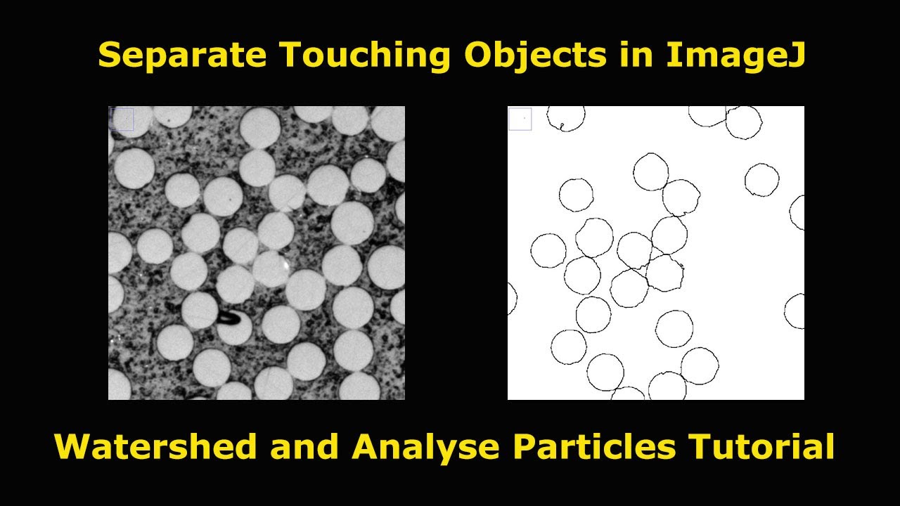 Separate touching objects in ImageJ/Fiji (Watershed)