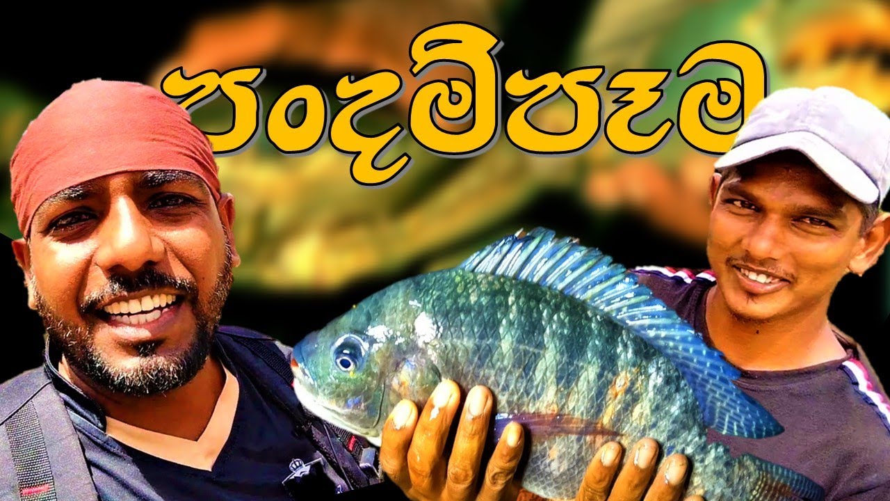 පංදම්පෑම 😲 @wishwatiyubaya 🎣🦀🐋