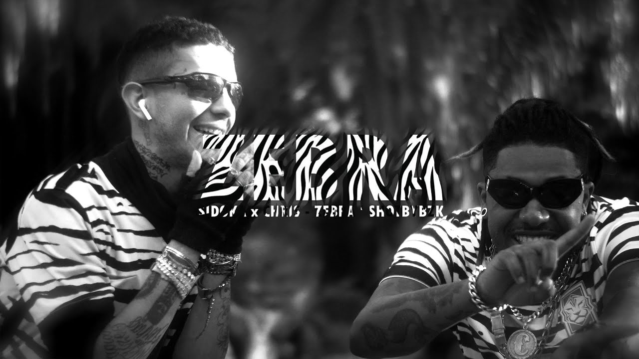 Sidoka x Chris - ZEBRA ' @SHOTBYBZK . prod @LLBEATZ