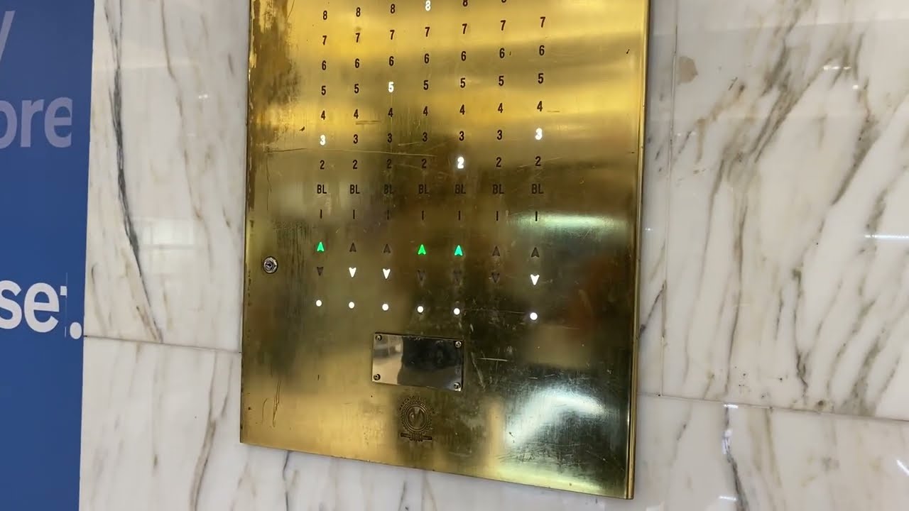Busy Elevators at Macys Harold Square New York City with Becca and Lee