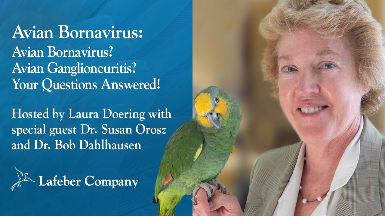Avian Bornavirus? Avian Ganglioneuritis?: Your Questions Answered!