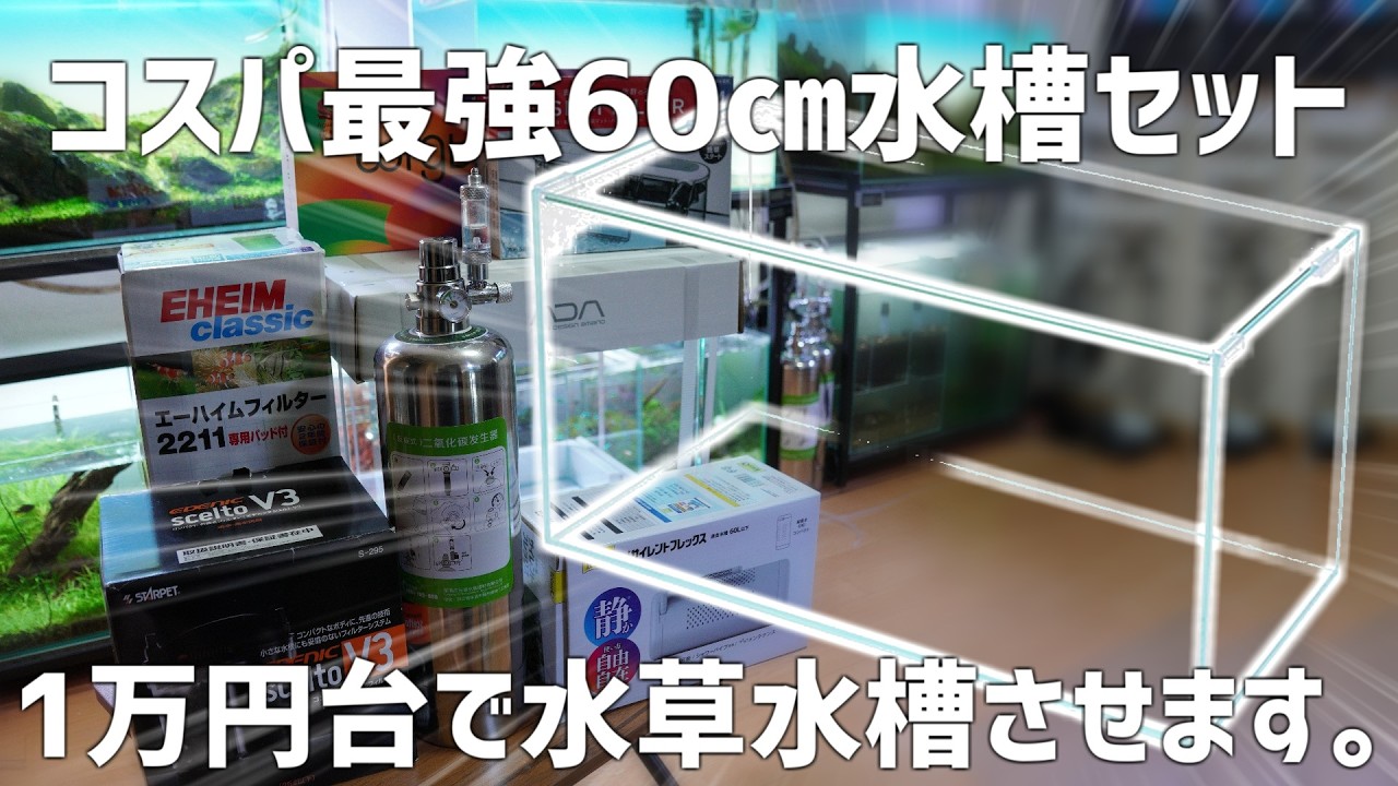 【必見】でかい水槽でも1万円台でアクアリウム始められる至高の組み合わせを教えます。#785【アクアリウム】