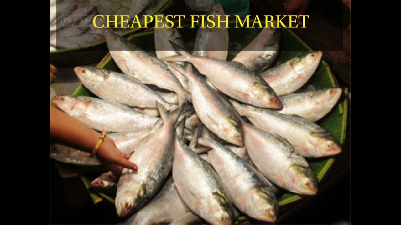 Cheapest & oldest  fish market in East Calcutta wetland.....