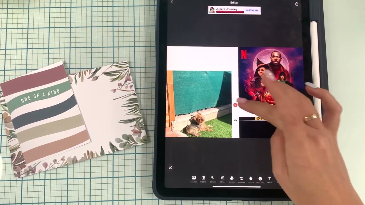 PL con CanonSelphy | Tips |  InShot & ProjectLife Apps