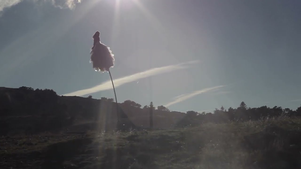 Sway pole act, Performance aérienne, aerial act