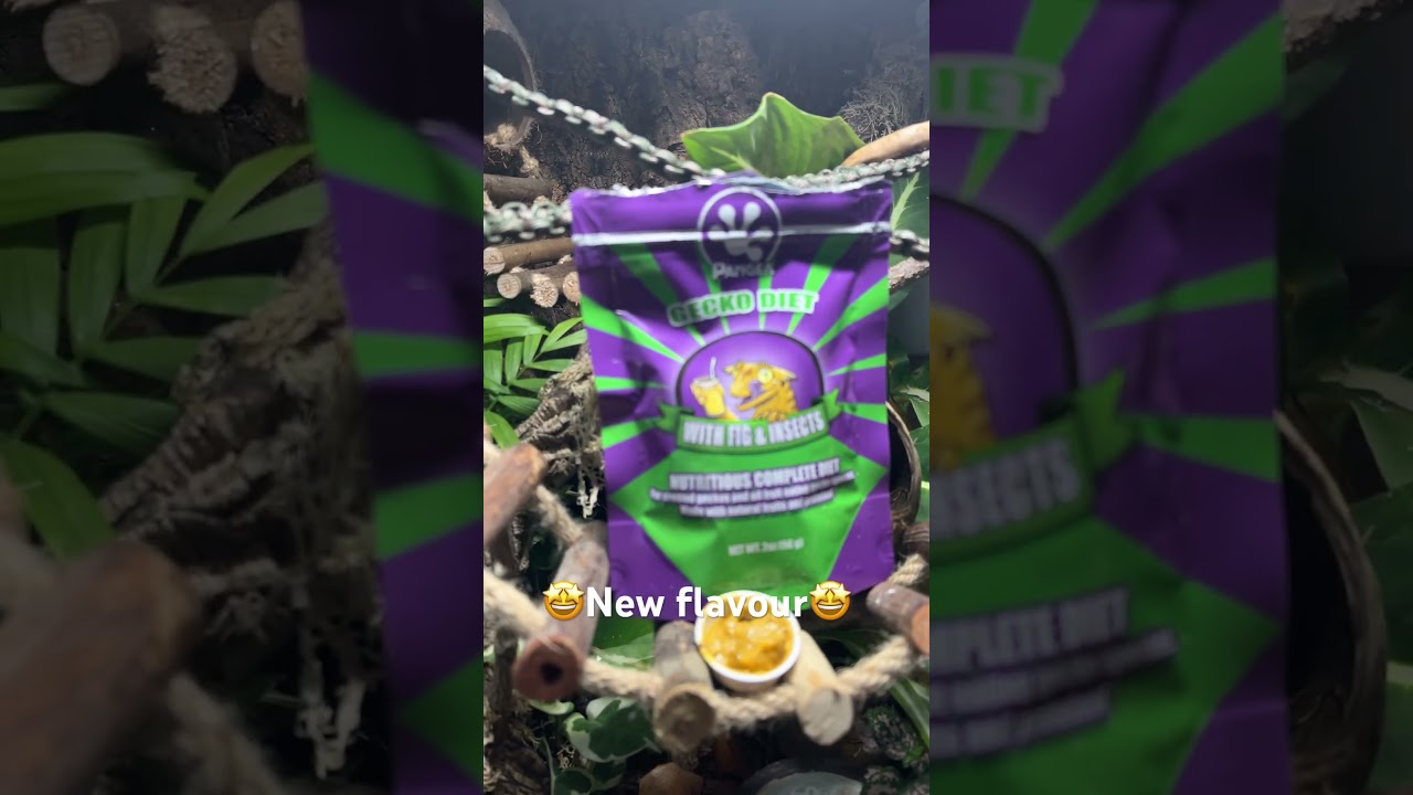 🤩New gecko flavour🤩#crestedgecko #reptiles #terrarium #petreptile #geckofood#pangeareptile