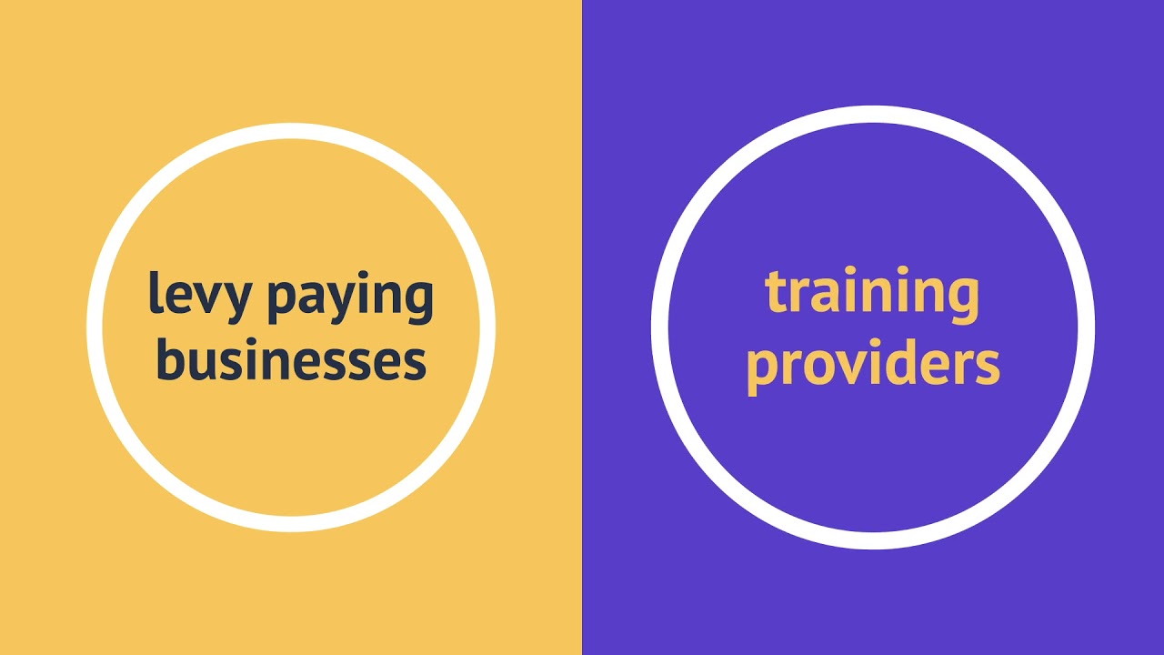 Training provider apprenticeship levy support
