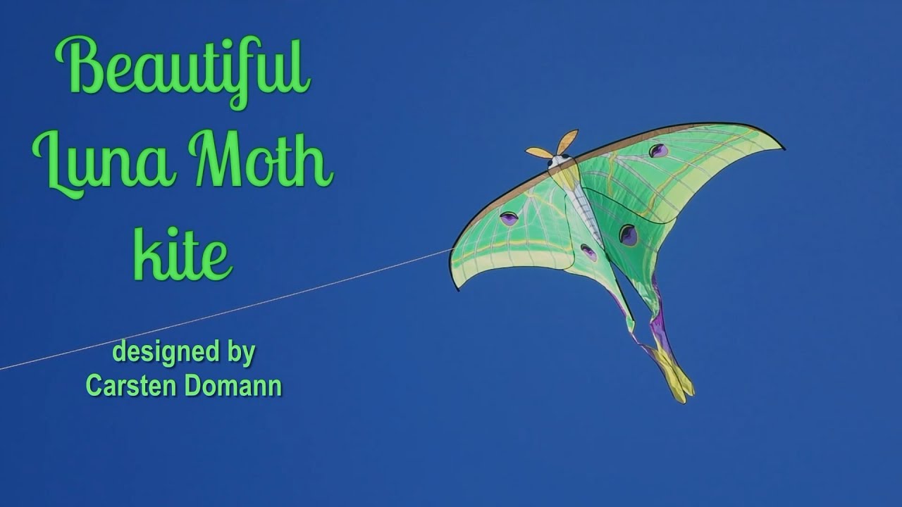 Beautiful Luna Moth kite