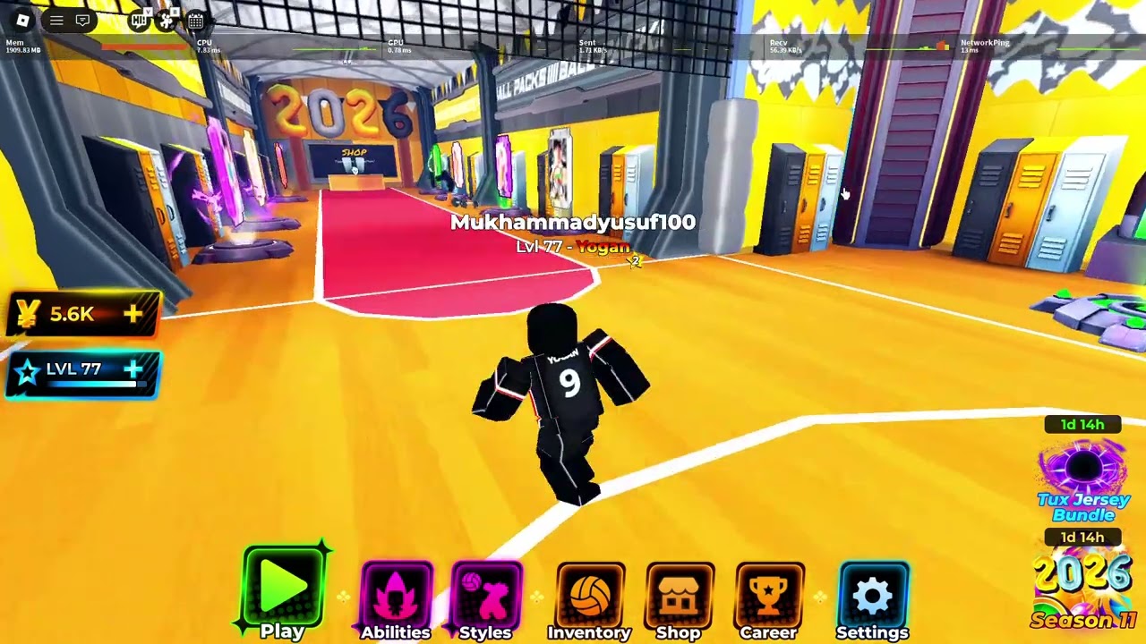 volleyball