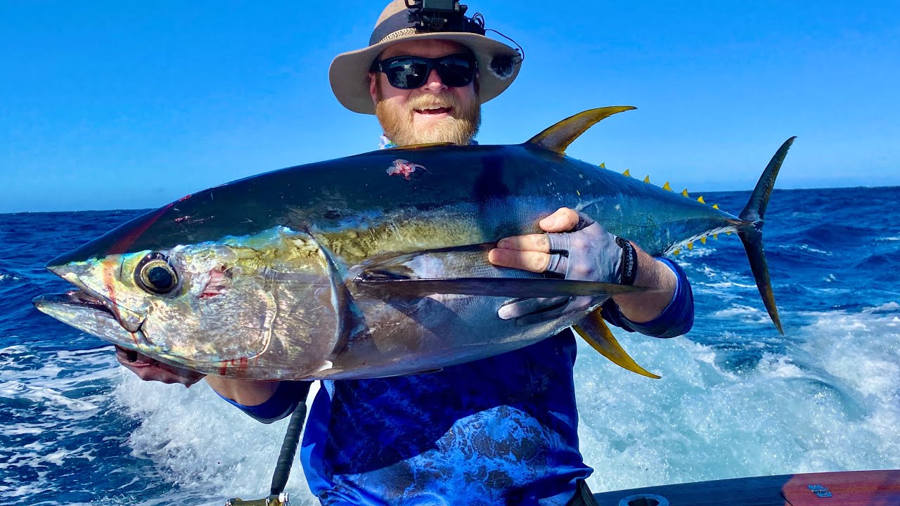 Hunting Tuna! We struck GOLD (Catch & clean)