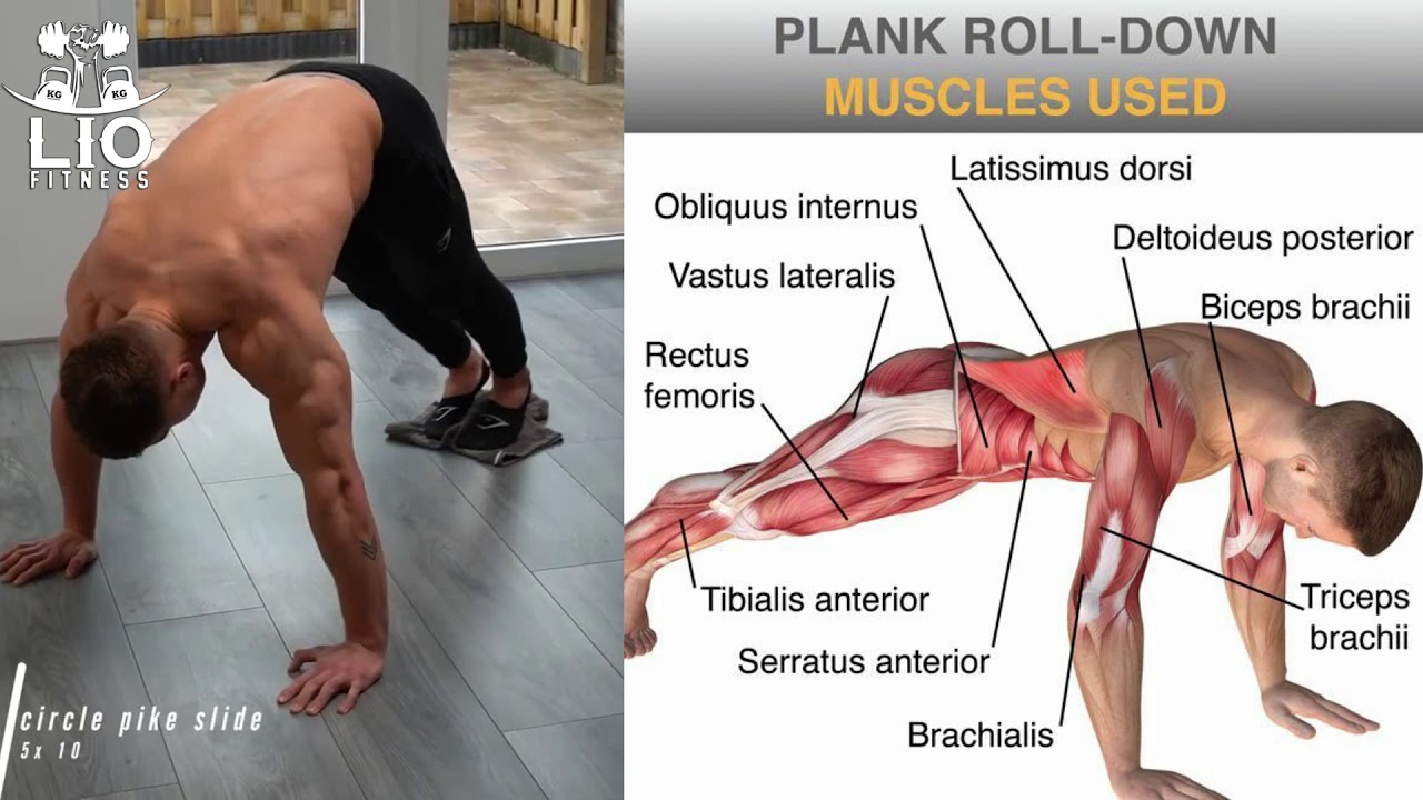 10 EJERCICIOS PARA ABDOMINEN PERFECTO