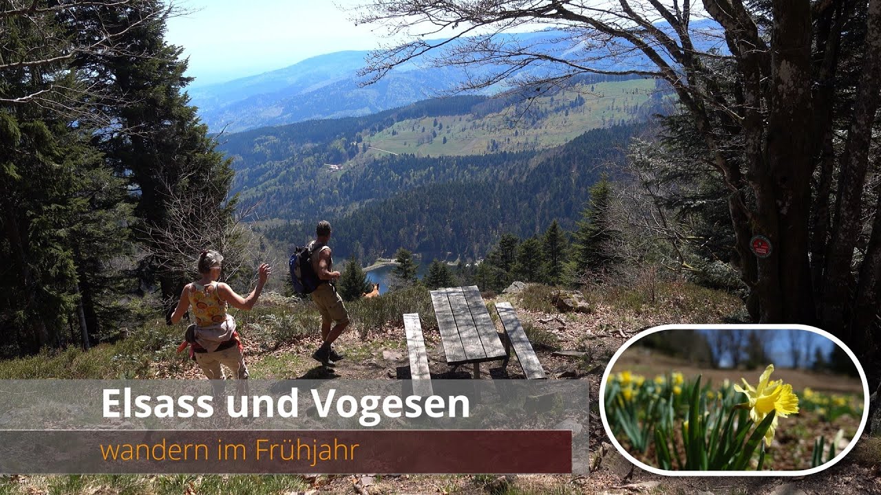 Vogesen und Elsass - wandern im Frühjahr (4K)