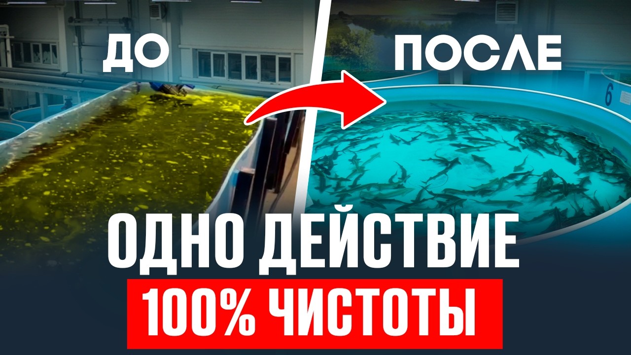 Вода в УЗВ стала мутной? Срочно сделай ЭТО! / Экстренный ПЛАН СПАСЕНИЯ вашей рыбы за 10 минут