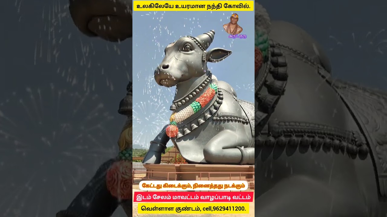 🐂 நந்தி ஐயா வாராரு 🐂 நந்தி அய்யா வராரு🙏🏾🙏🏾🙏🏾🙏🏾