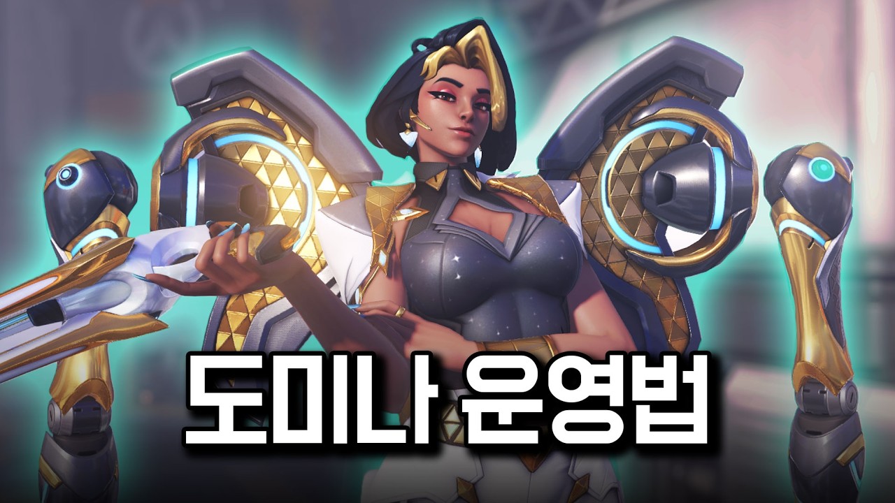 신규 탱커 도미나, 팀 운에 구애받지 않고 운영하는 법