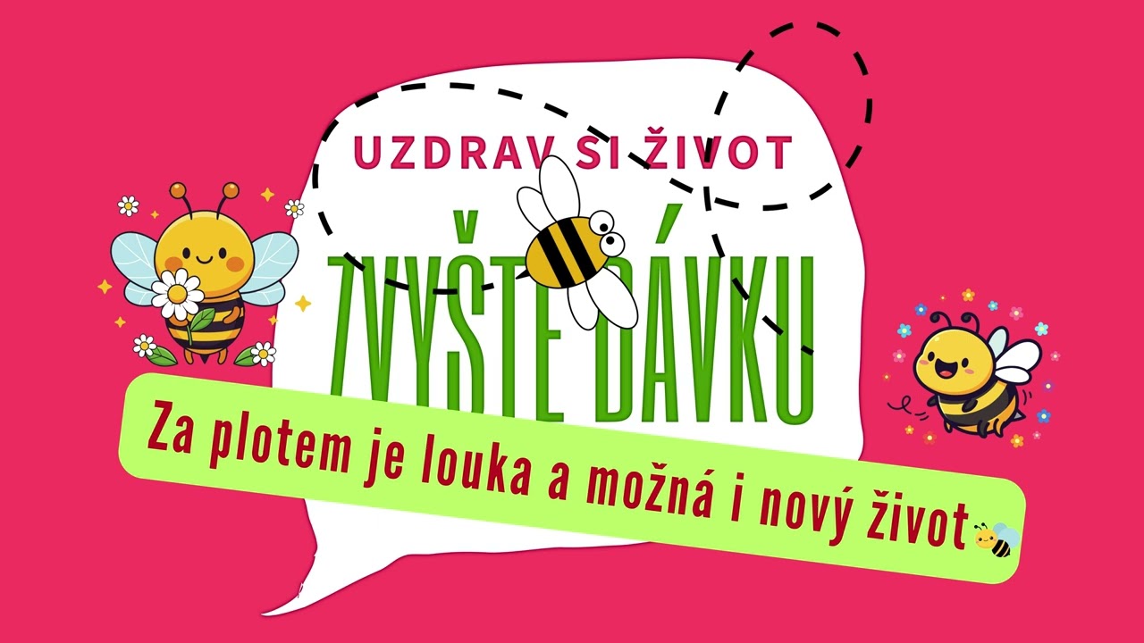 Za plotem je louka a možná i nový život 🐝