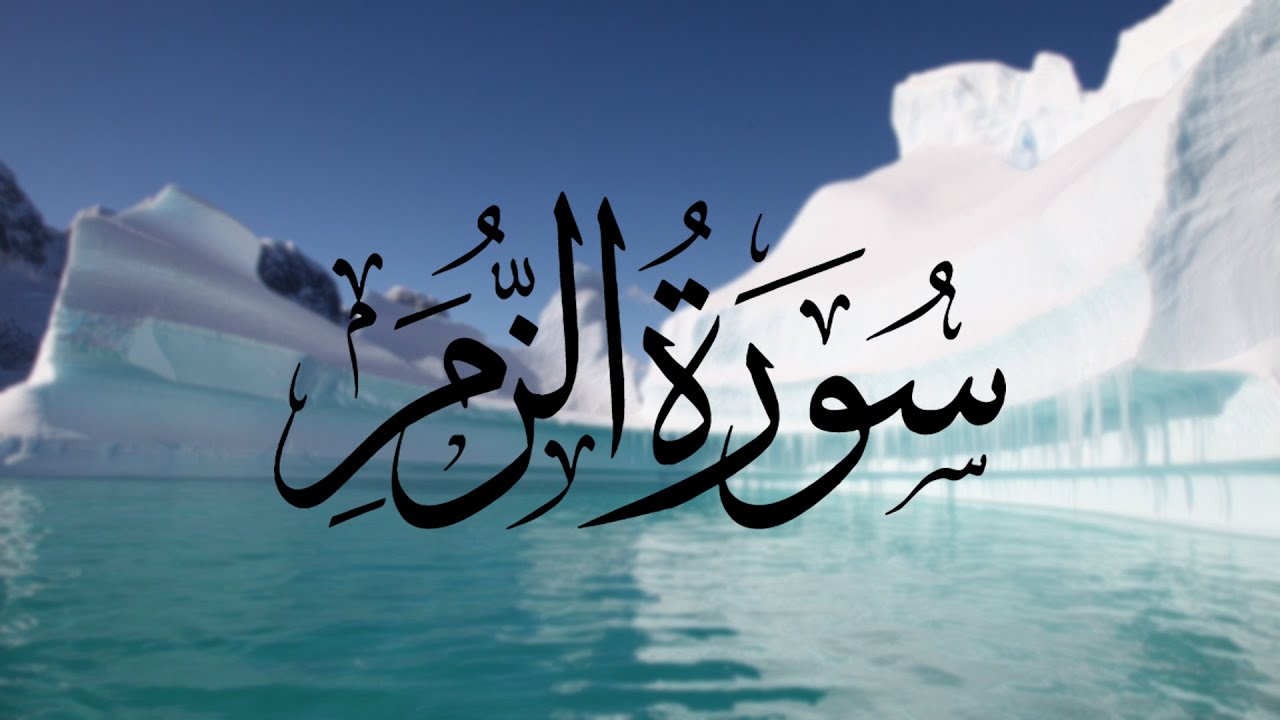 تلاوة لسورة الزمر بصوت الشيخ أبوبكر الشاطري