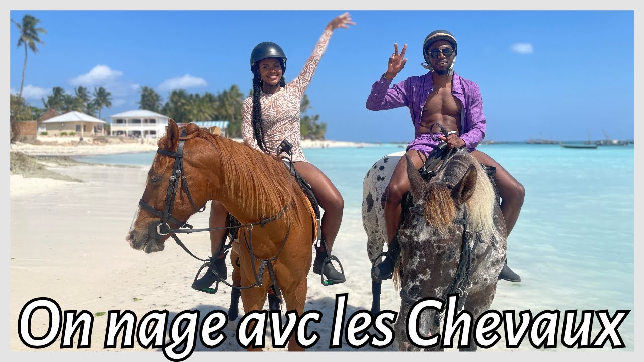 ON NAGE AVEC LES CHEVAUX À ZANZIBAR