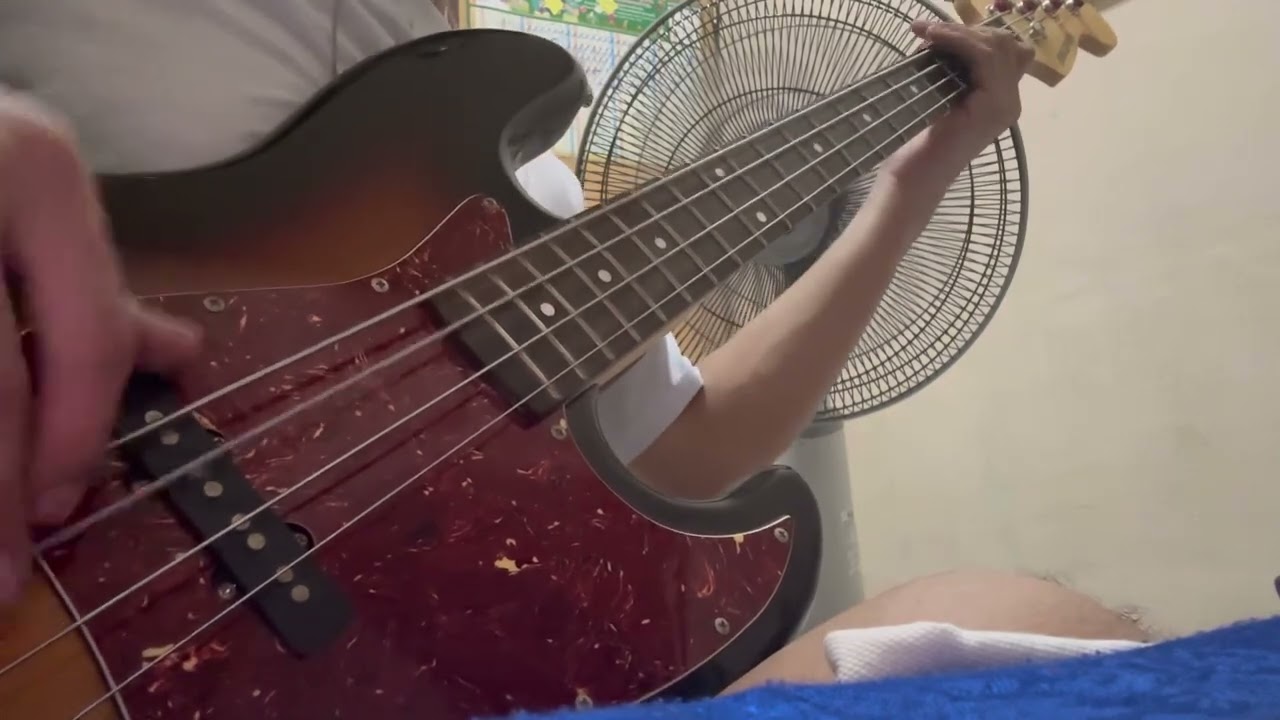 เชพบ๊ะ - ลำไย ไหทองคำ (BASS COVER BY.Ah!!!NO)