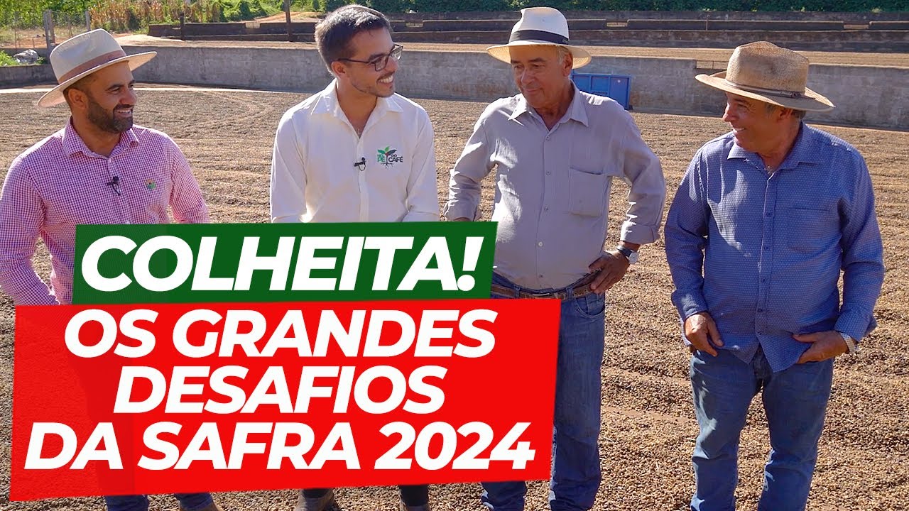 Colheita Adiantada, Muito Café no Chão e Baixo Rendimento | No Pé do Café