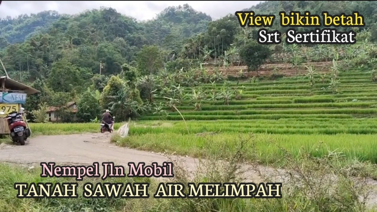 Dijual Tanah Sawah Produktif Air nya Melimpah Surat Sertifikat Shm Akses Nempel Jln Mobil 