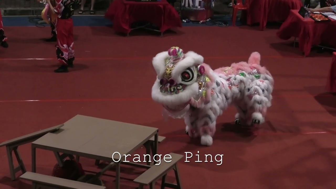新加坡坪艺体育会 Ping Yi Athletic Association Singapore