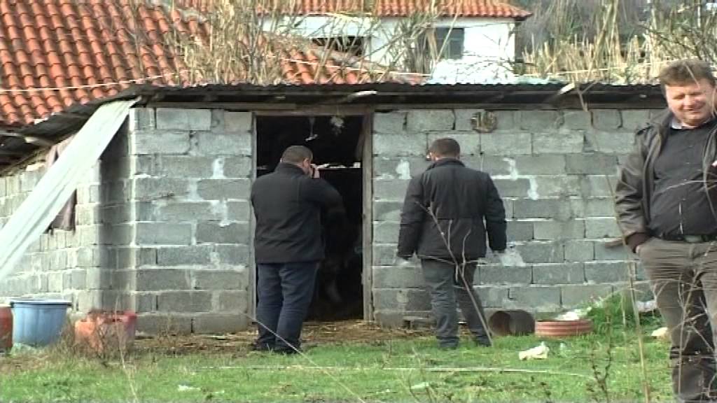 Vrasja në Grabjan të Lushnjës, Anila Llozi: Kërkoj drejtësi ose do kryej vetëgjyqësi
