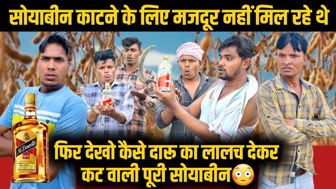 लालच बुरी बला है 🙄 दारू के लालच में काट दी पूरी सोयाबीन | मालवी कॉमेडी | mp tour by vikas comedy
