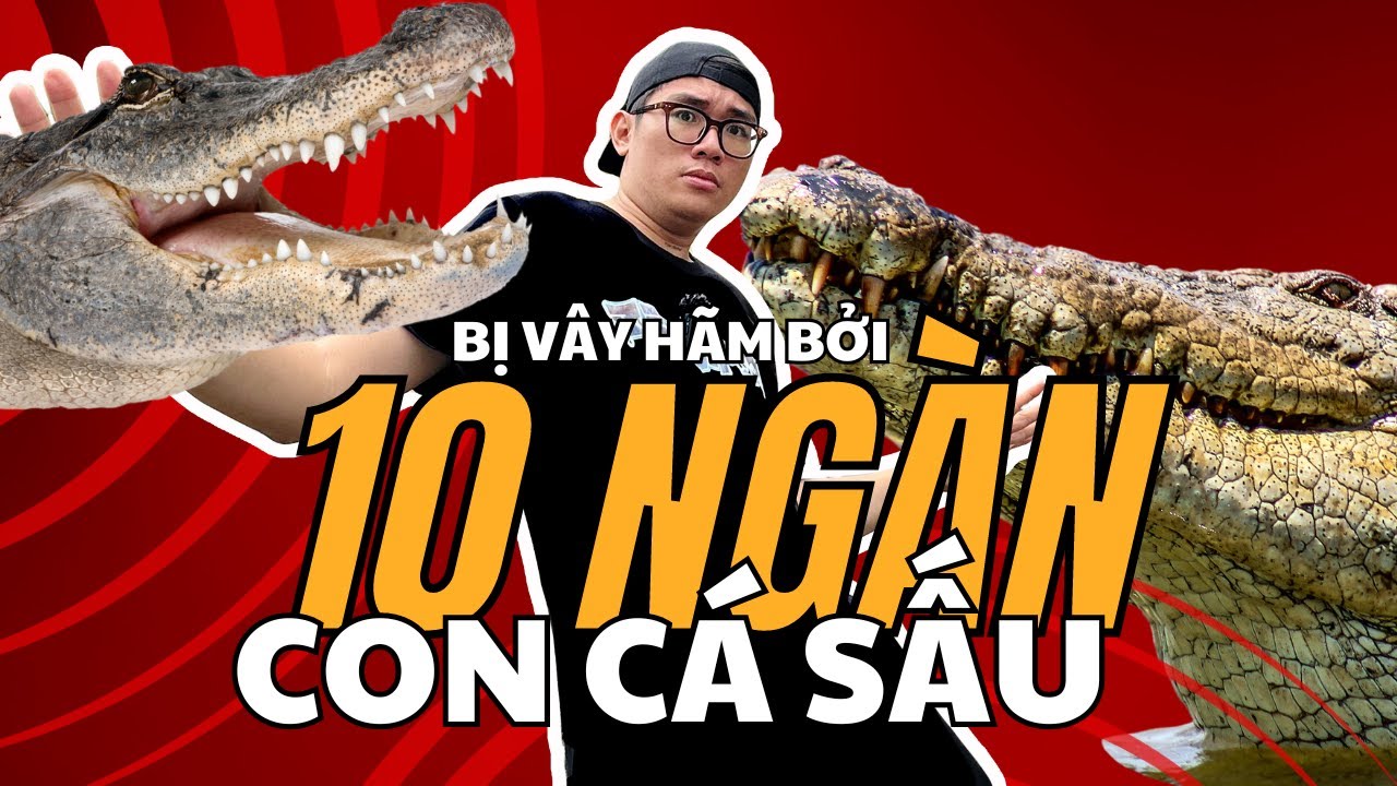 BỊ BAO VÂY BỞI 10 NGÀN CON CÁ SẤU |  THÈM BÒ SÁT