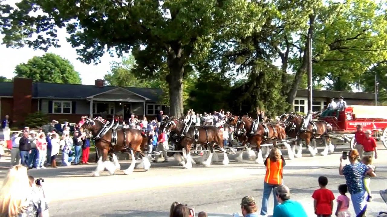 The Clydesdale Parade - Landrum