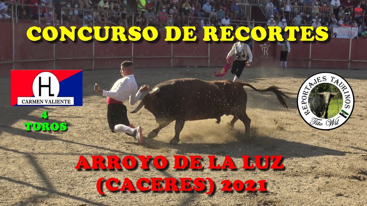 CONCURSO DE RECORTES ARROYO DE LA LUZ CACERES 2021 CON 4 TOROS DE MARI CARMEN VALIENTE