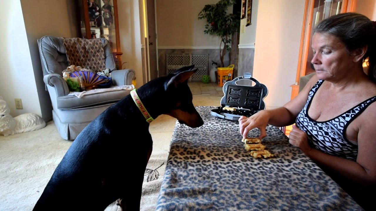Have you ever made cookies with a Doberman???