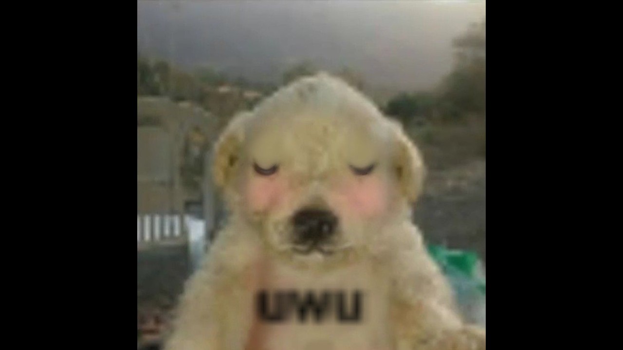 Wargame Adentus - Arcadia vs Calibers - 2nd WG - Oracle POV