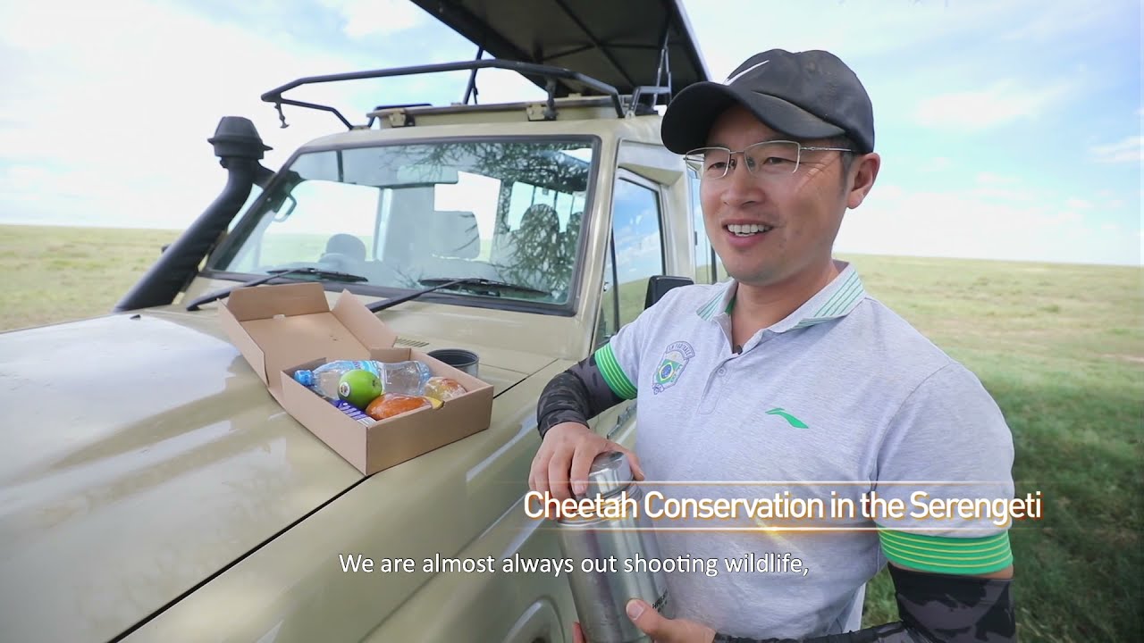 Cheetah conservation in the Serengeti