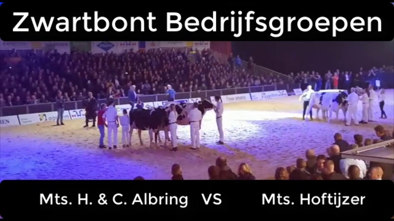 Holland Holstein sHow 2019