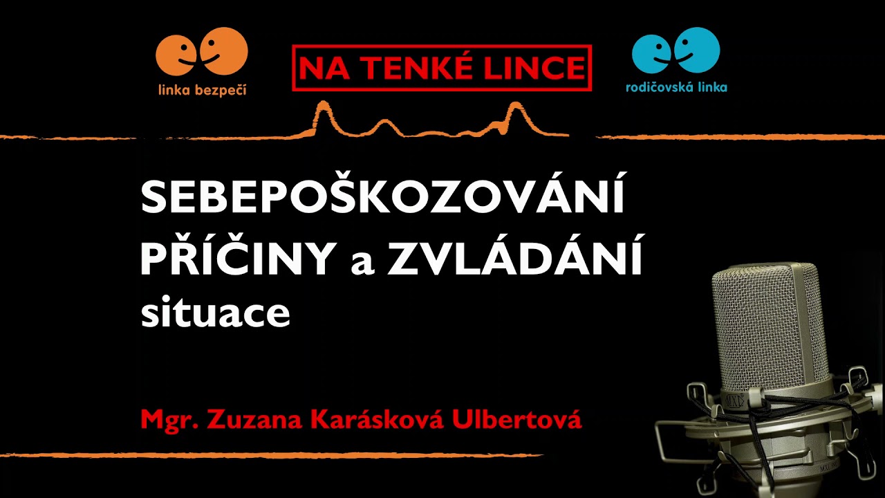 Sebepo&scaron;kozov&aacute;n&iacute; II. - př&iacute;činy a zvl&aacute;d&aacute;n&iacute; situace