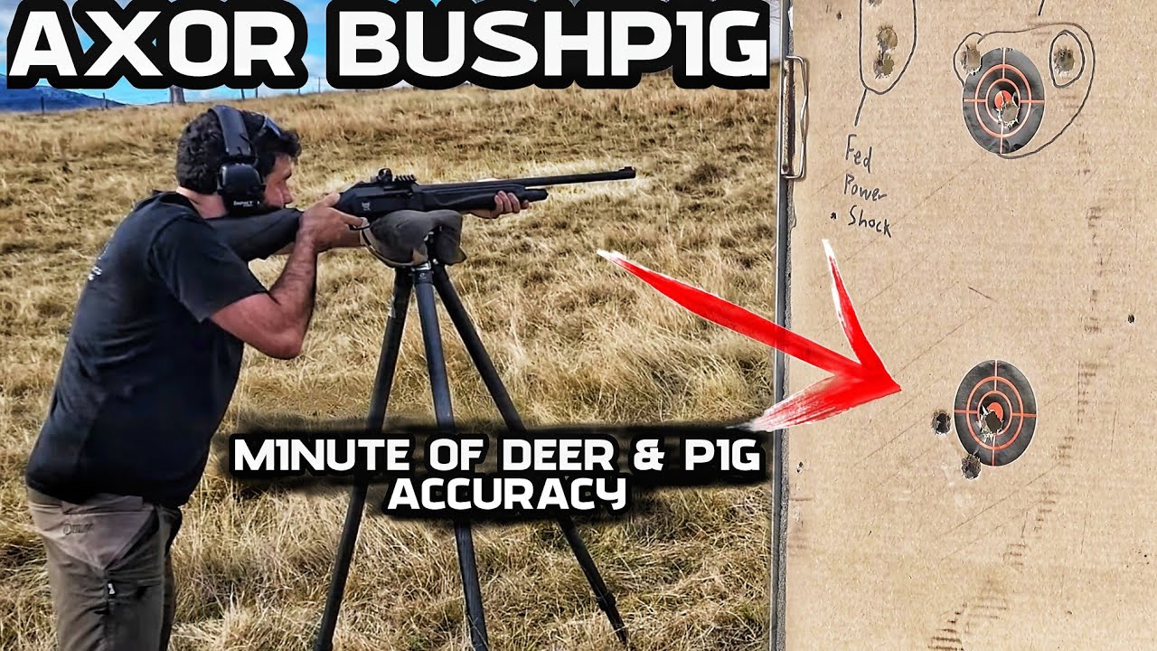 Обзор ружья AXOR BUSHPIG 12G