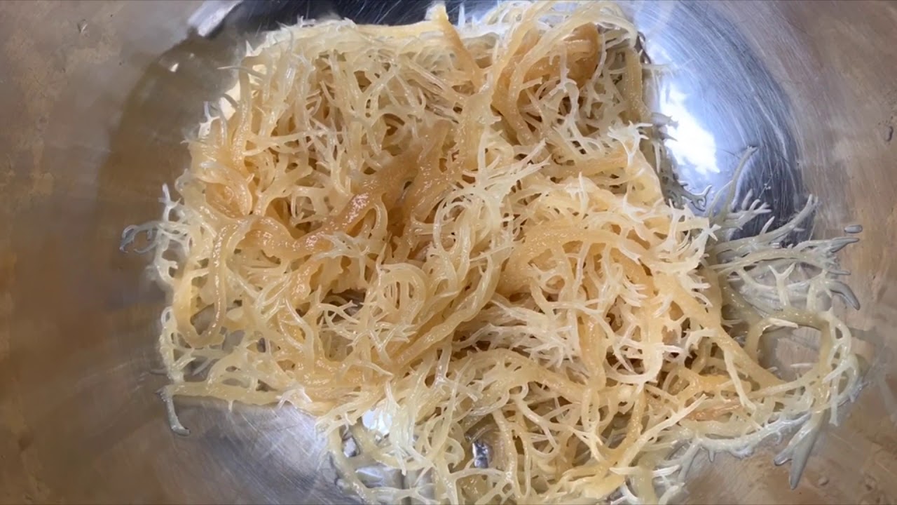 HOW TO MAKE SEAMOSS || WEST INDIAN SEA MOSS DRINK RECIPE || TERRI-ANNS KITCHEN