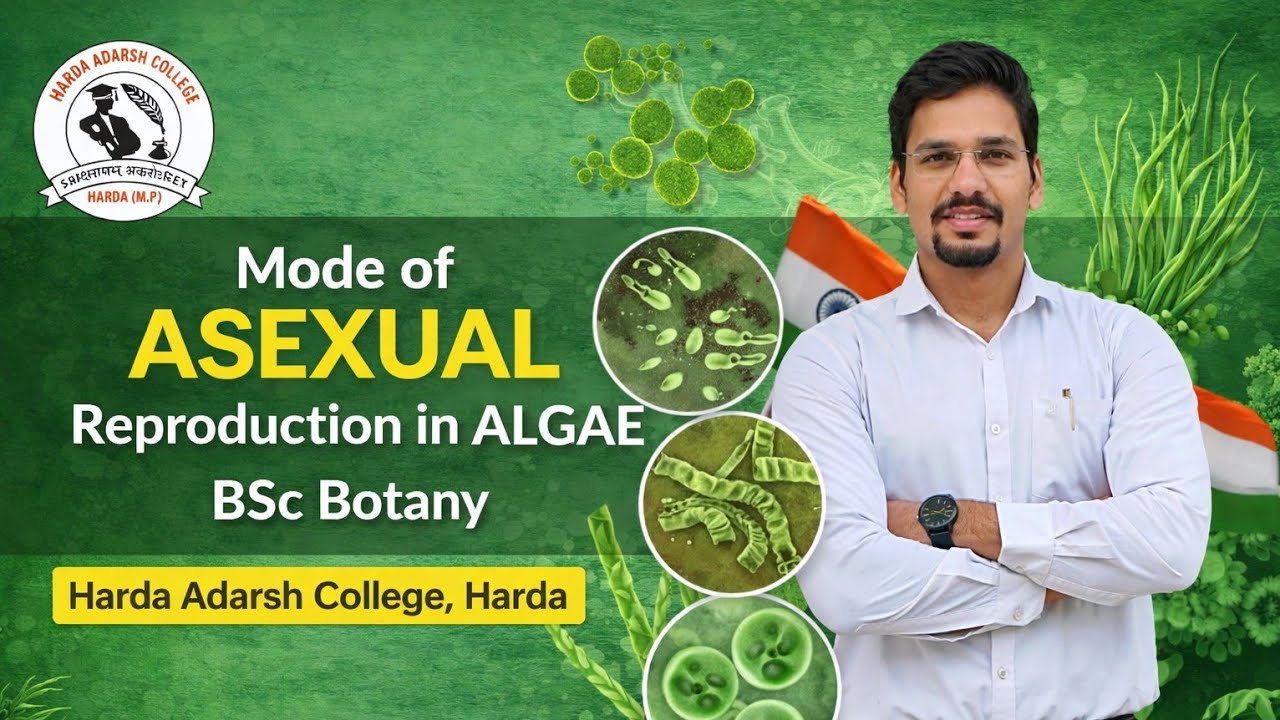 Mode of Asexual Reproduction in Algae