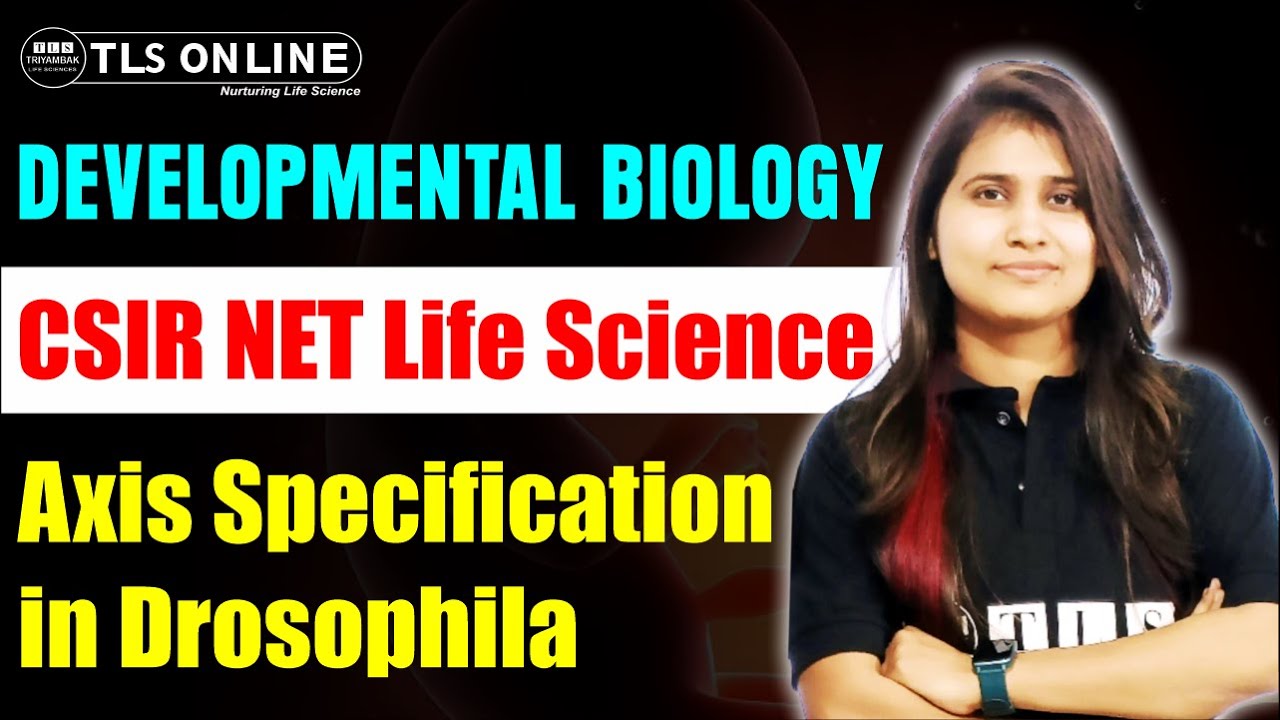 Developmental Biology - 𝐀𝐱𝐢𝐬 𝐒𝐩𝐞𝐜𝐢𝐟𝐢𝐜𝐚𝐭𝐢𝐨𝐧 𝐢𝐧 𝐃𝐫𝐨𝐬𝐨𝐩𝐡𝐢𝐥𝐚 - CSIR NET Life Sciences | Shruti Shukla |