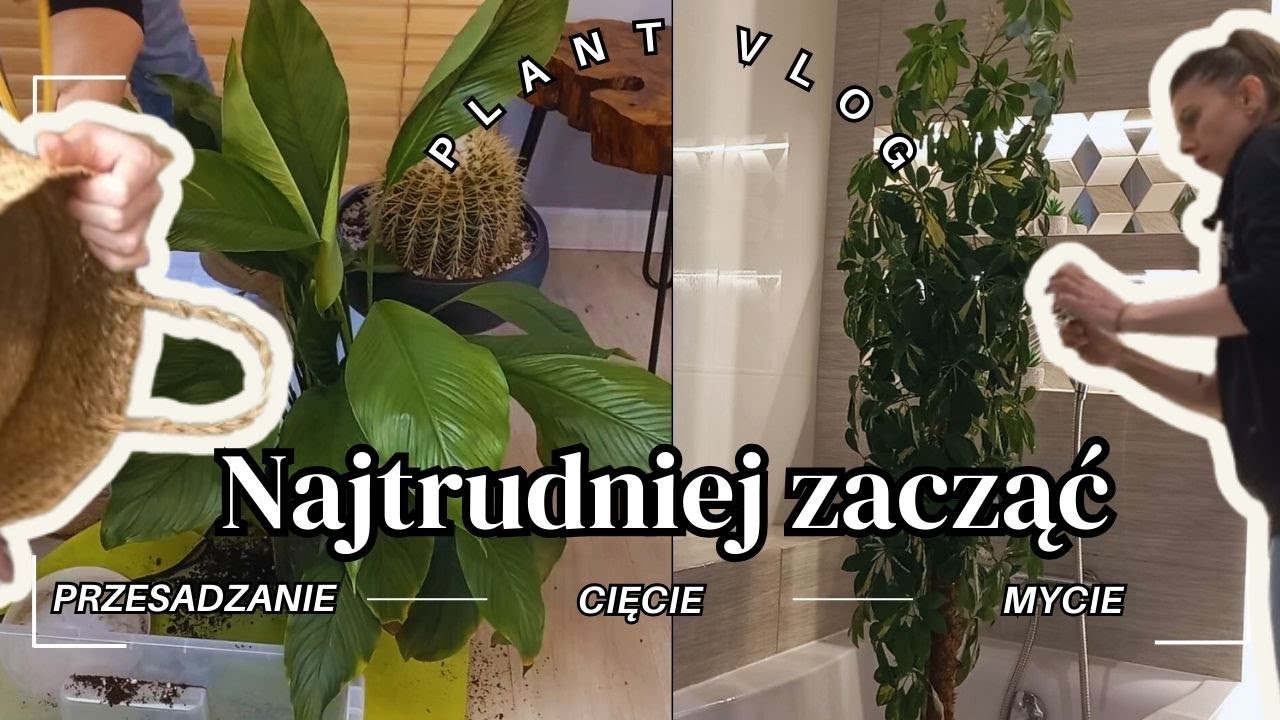 Walczę | Najgorszy czas dla roślin...