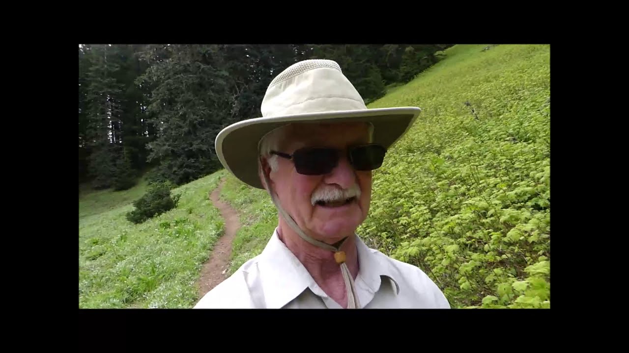 Iron Mountain and Cone Peak