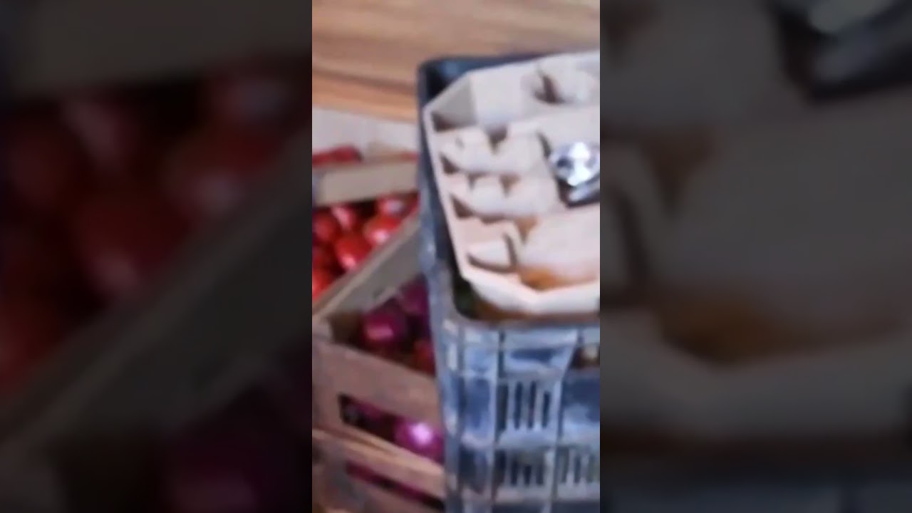 &iexcl;Se contamin&oacute; la escena del &ldquo;Mencho&rdquo;! FGR admite que hubo irregularidades en la investigaci&oacute;n