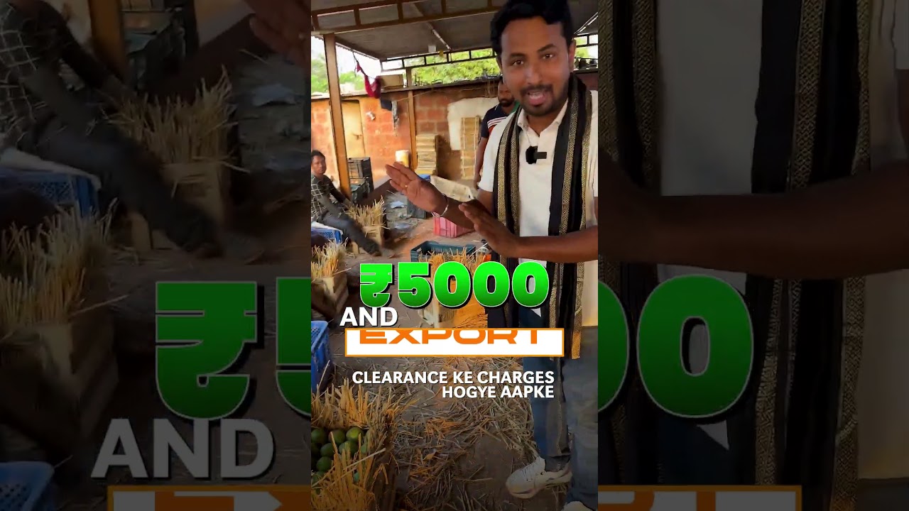 Export Mango business 🥭