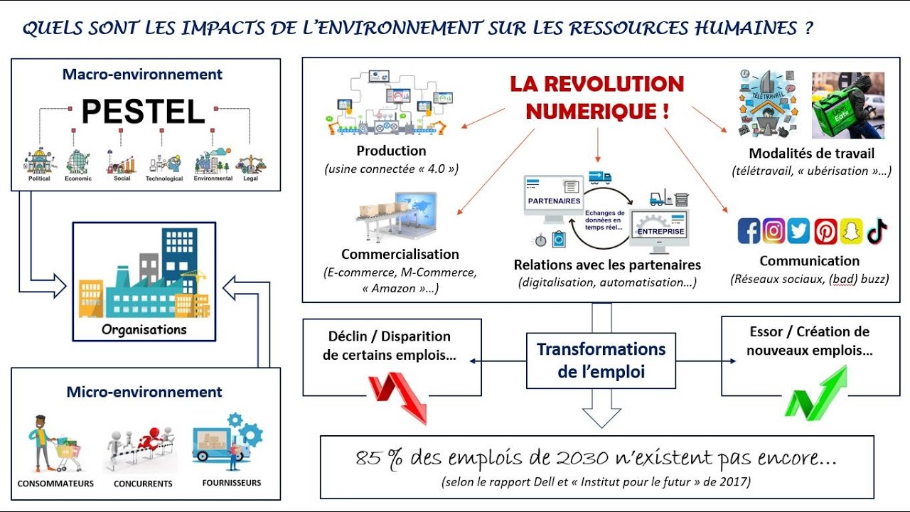 En quoi la Gestion prévisionnelle des emplois et des compétences est-elle utile aux organisations ?