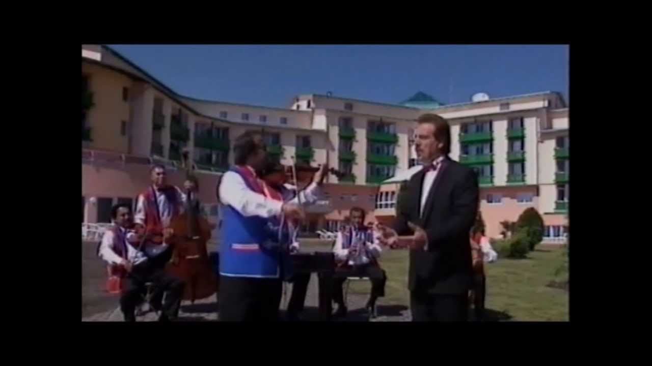 Lovay László - Megfordítom kocsim rúdját